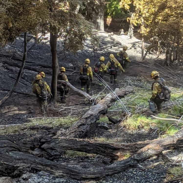 Cómo continúa el incendio «El Centinela» en Chubut