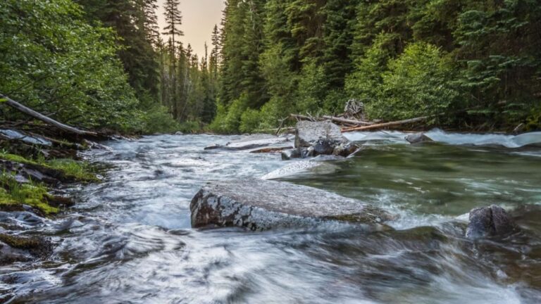 El cambio climático altera el flujo estacional de los ríos
