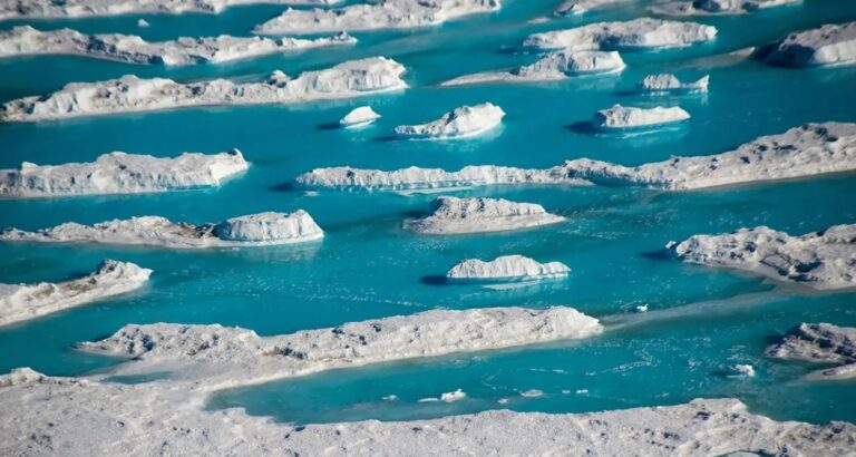 El calor de El Niño puede calentar los océanos frente a la Antártida occidental y derretir las plataformas de hielo flotantes desde abajo