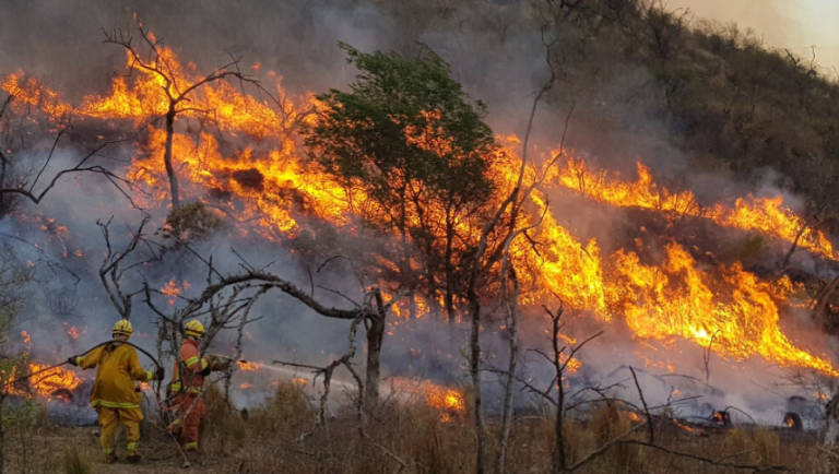 Incendios en Sudamérica : Córdoba y el Amazonas tienen relación?