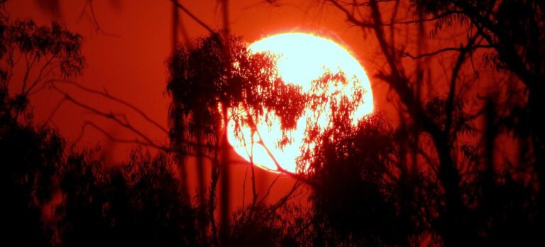 Enero 2025: inesperadamente, el más caluroso jamás registrado