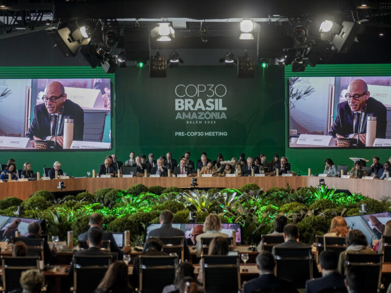 Todas las miradas puestas en Belém: ¿Podrá la COP30 lograr que la financiación forestal funcione?