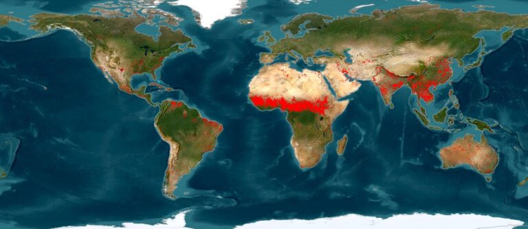 Educar para evitar incendios forestales